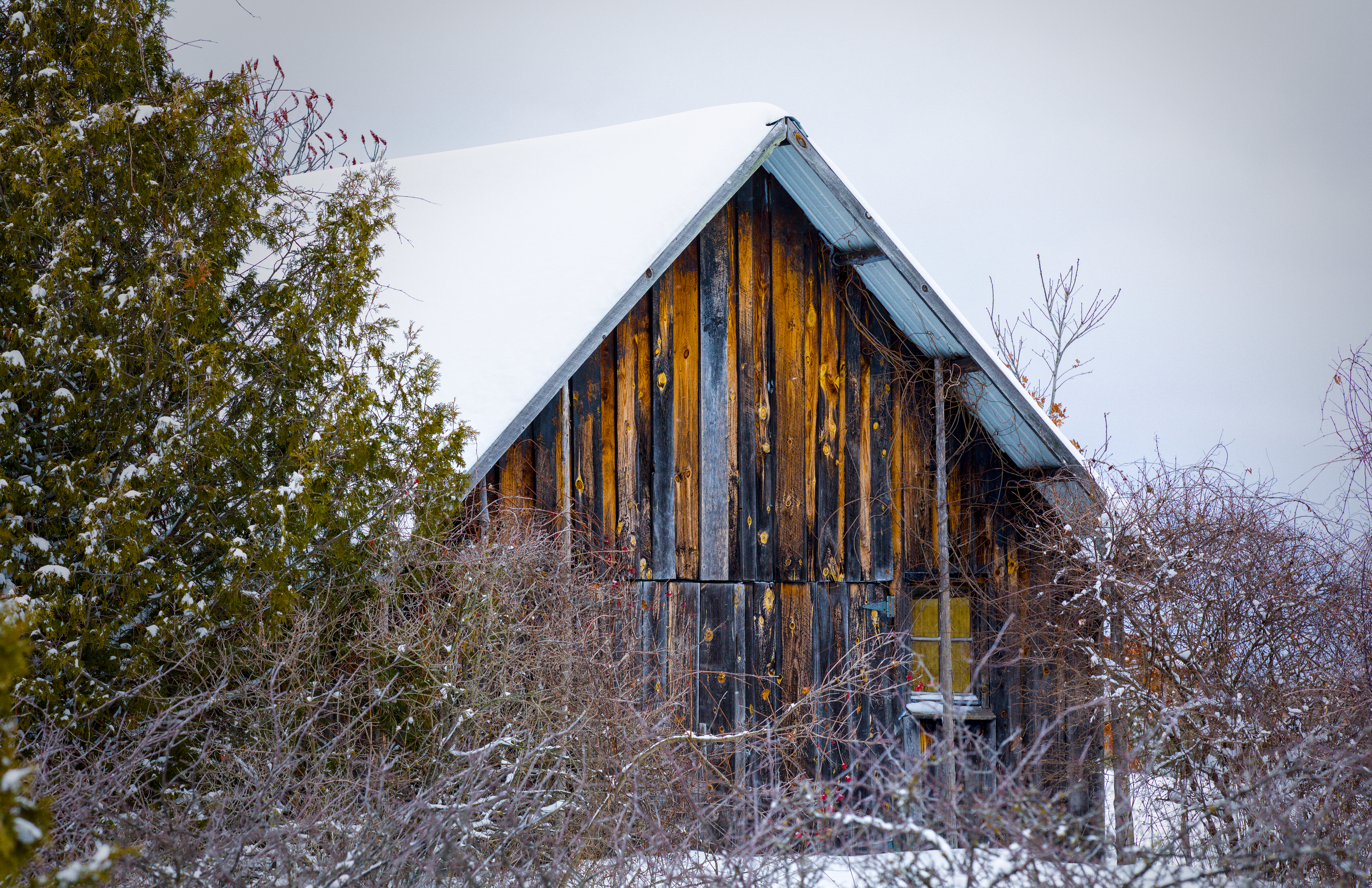 Winter’s Quiet Hold