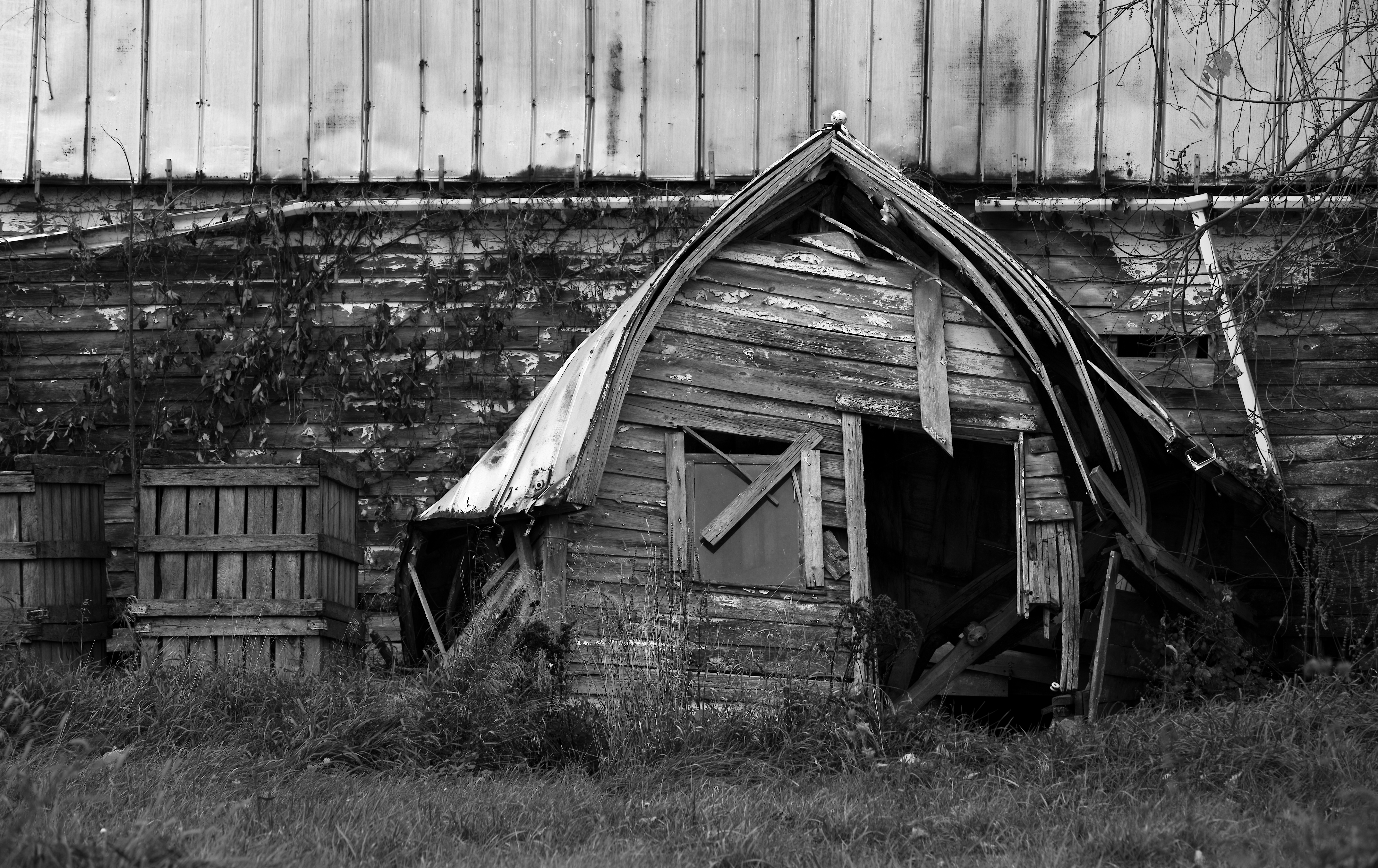 Echoes of a Family Farm